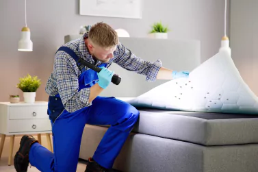 Bedbug Control Greenvale